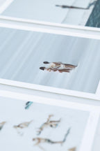 Soul Sisters - Original Art-Original Art-Erin Masters-Greenhouse Interiors Pty Ltd