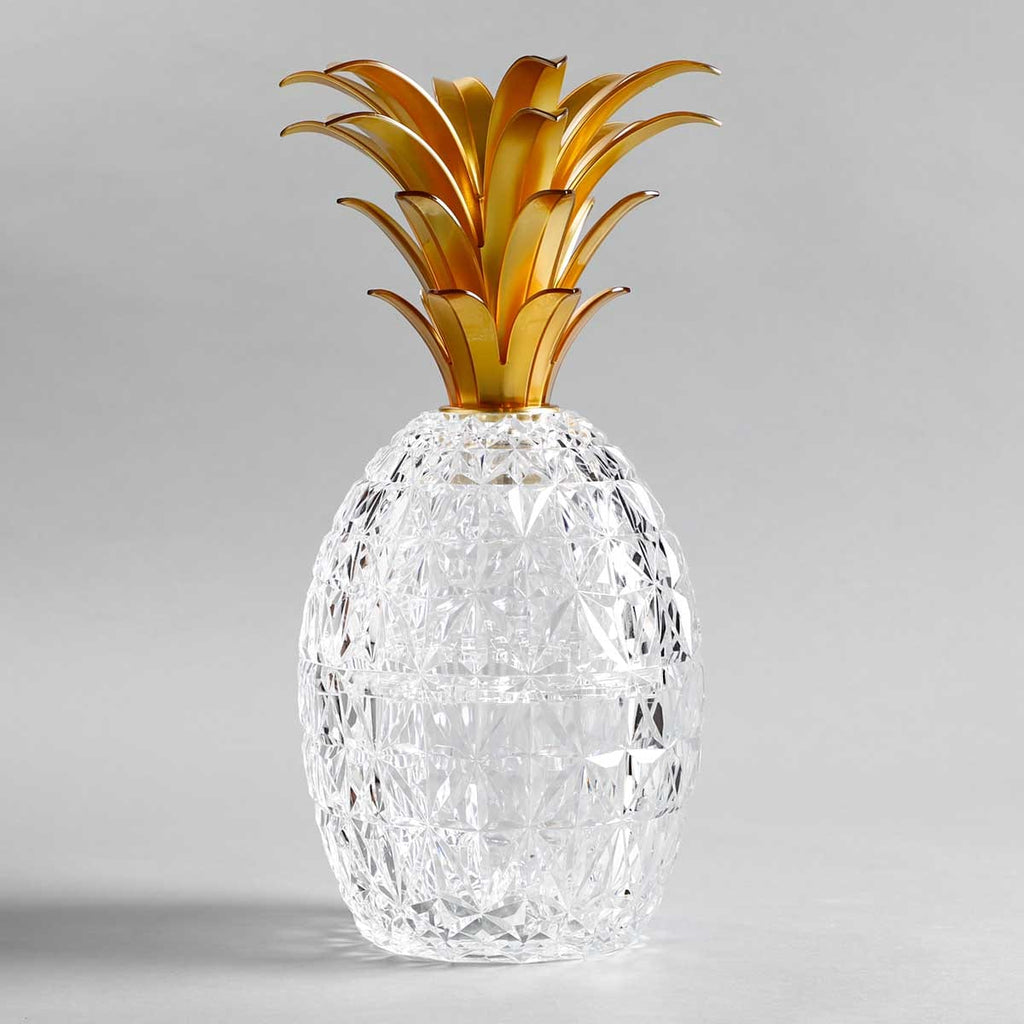 Mario Luca Giusti Melissa Pineapple Cutlery & Ice Holder - Clear