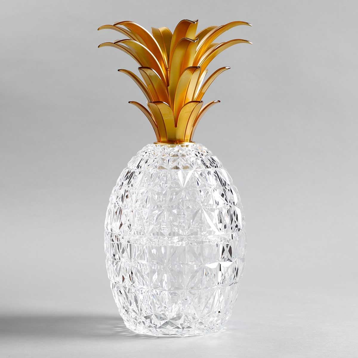 Mario Luca Giusti Melissa Pineapple Cutlery & Ice Holder - Clear