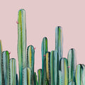 Cactus Field - Print-Prints-Kate Jarman-Greenhouse Interiors Pty Ltd