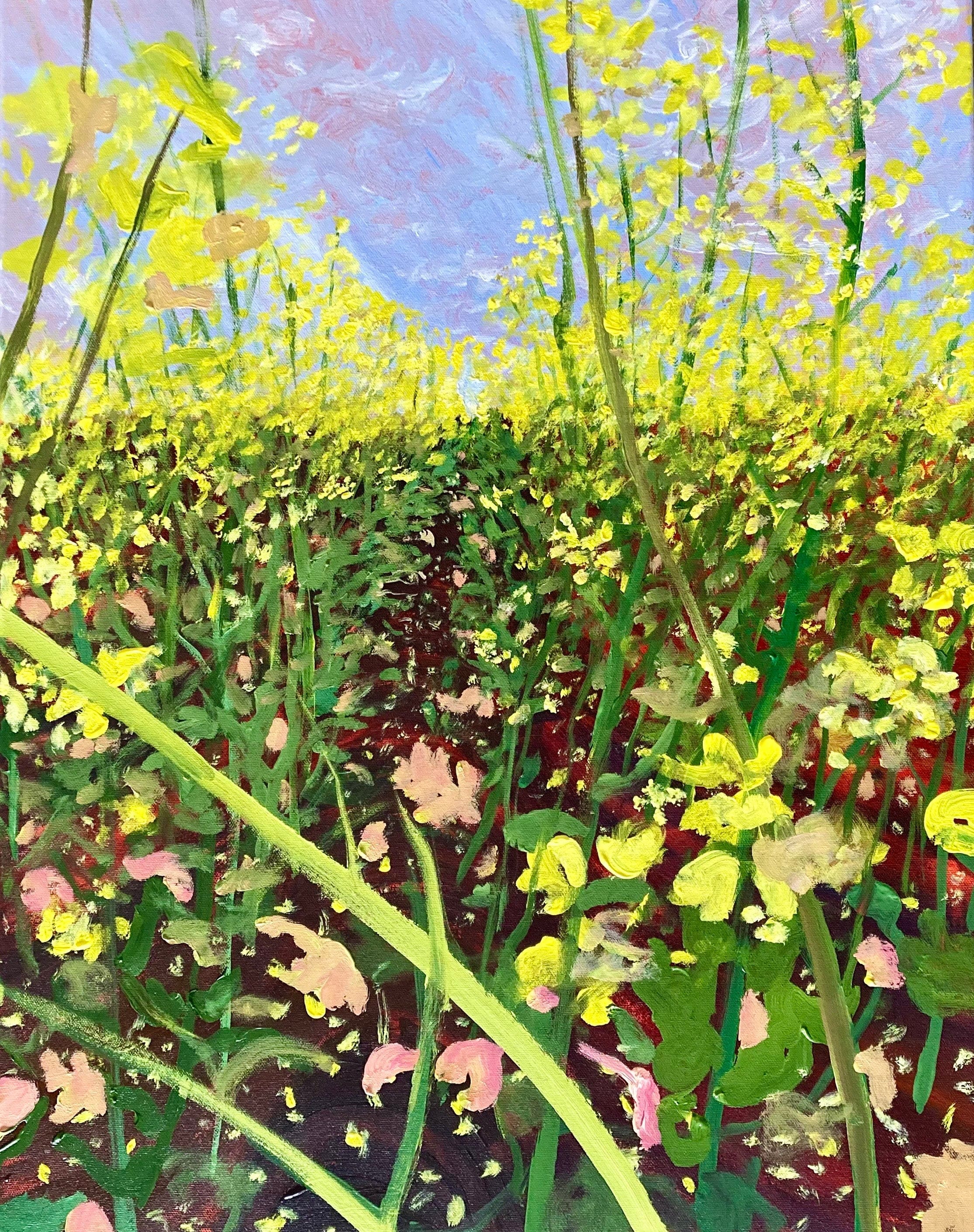 Canola Fields 3 - Original Art