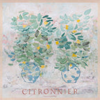 Citronnier - Limited Edition Print