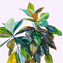 Croton - Print-Prints-Kate Jarman-Greenhouse Interiors Pty Ltd