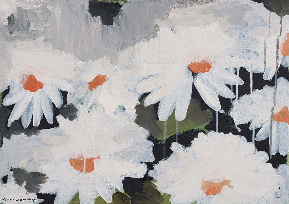 Daisy Dew - Limited Edition Print