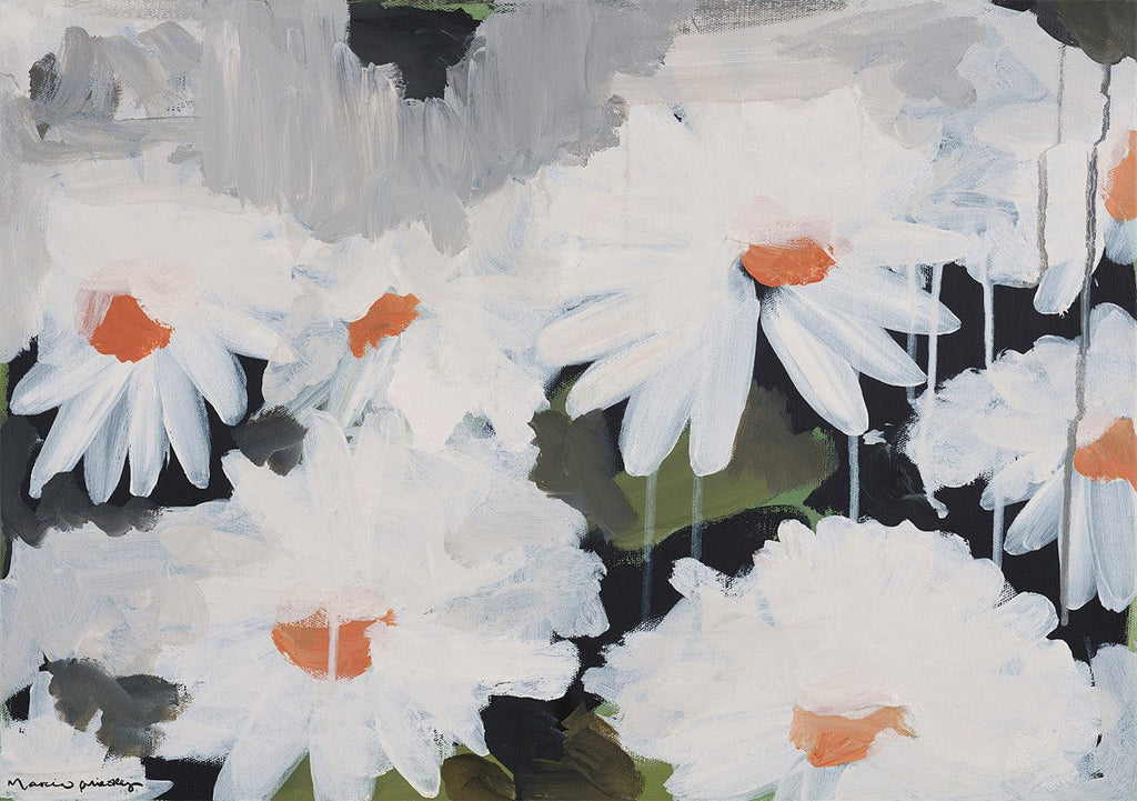 Daisy Dew - Limited Edition Print