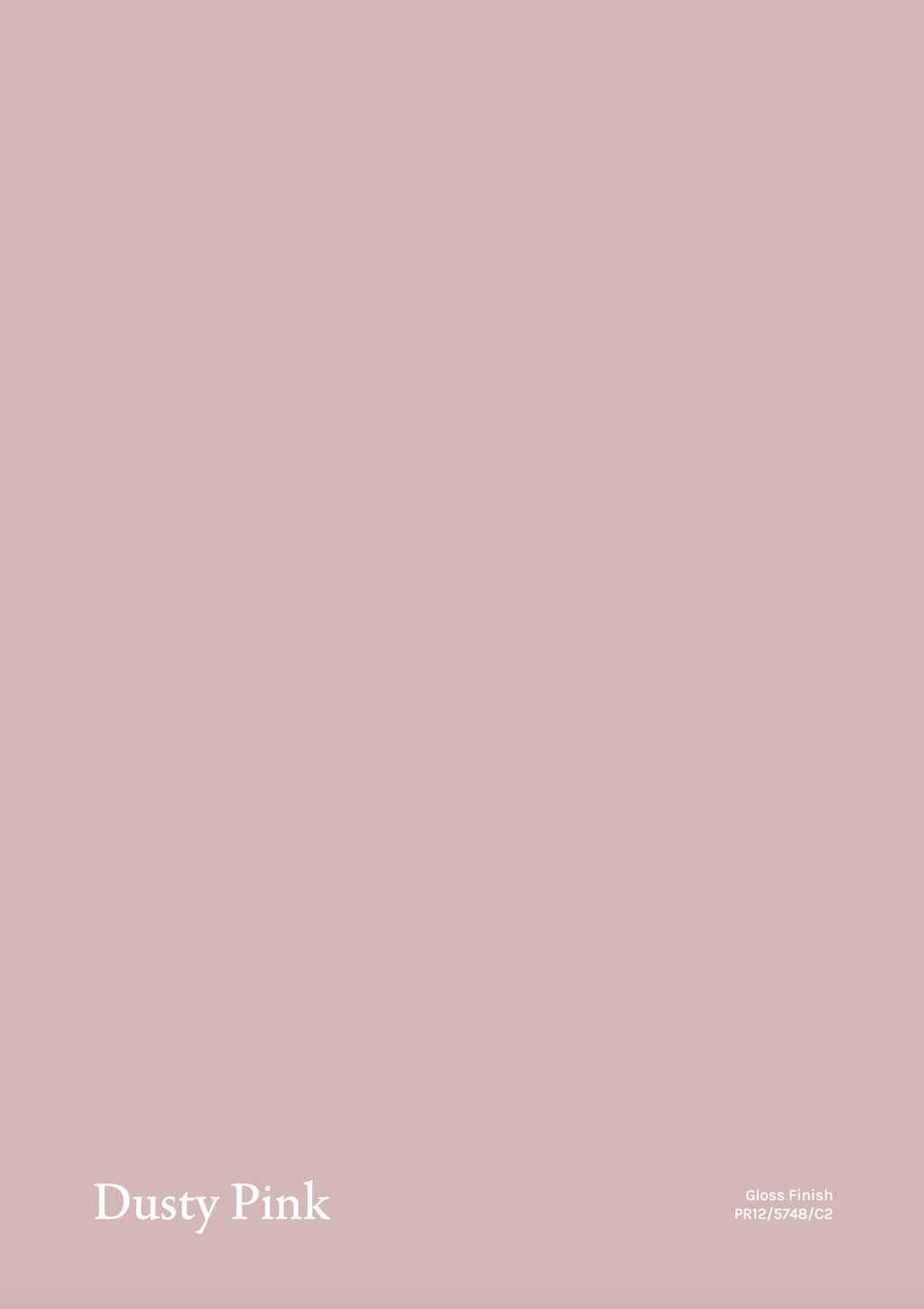 TBC2 - Chair