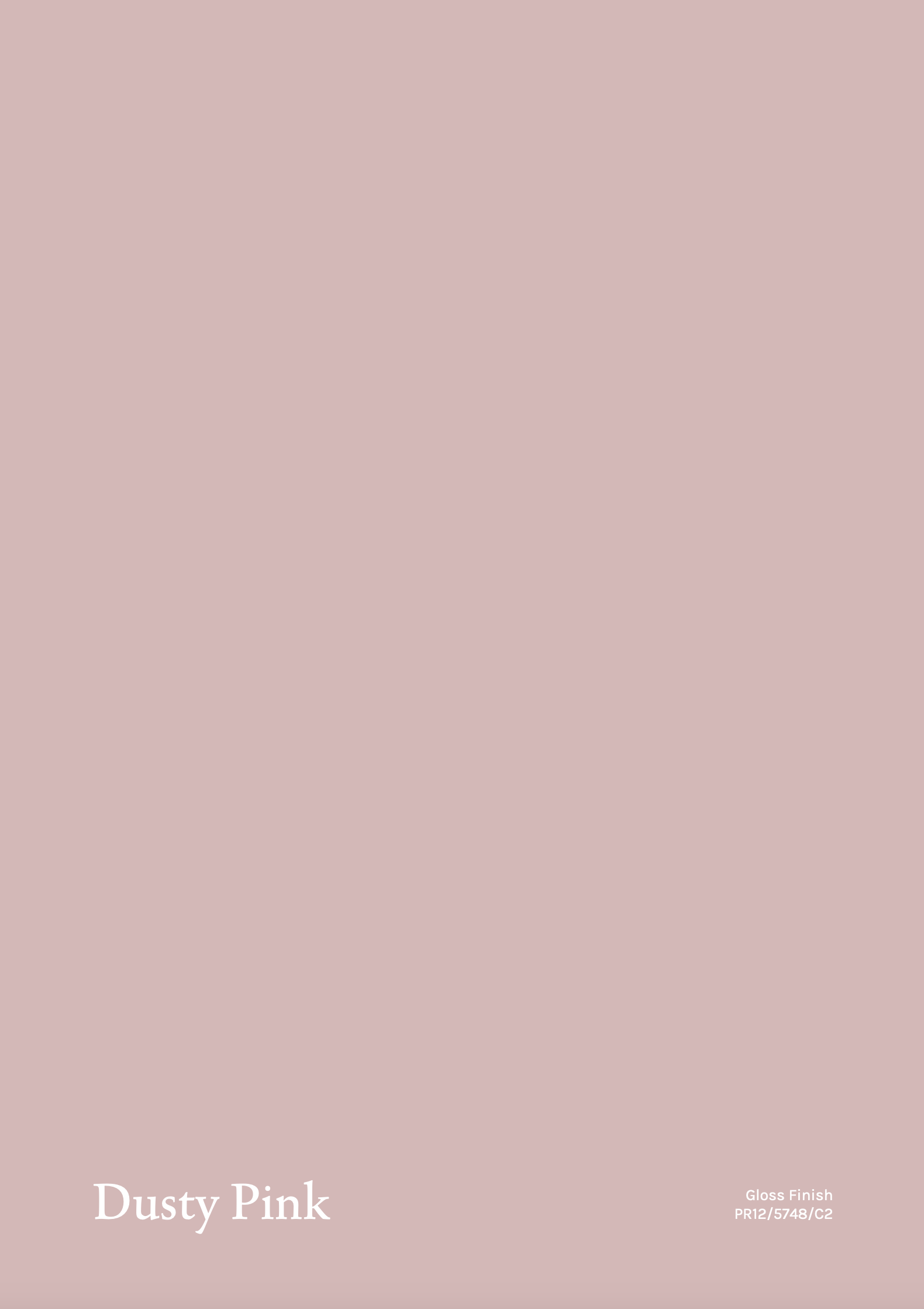TBC2 - Chair