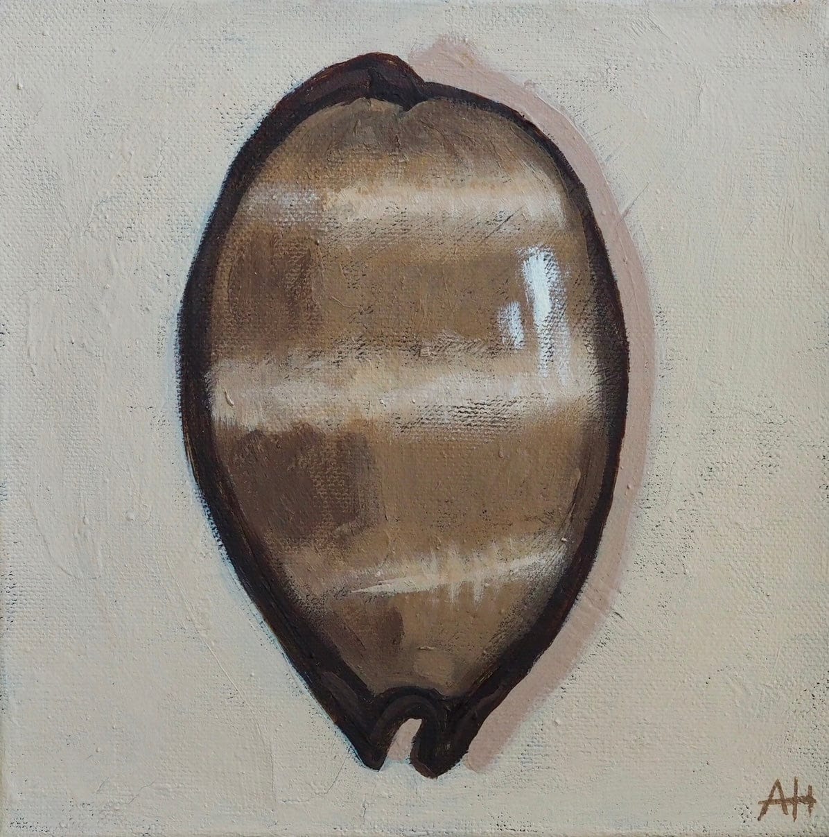Tiger Cowrie - Original Art