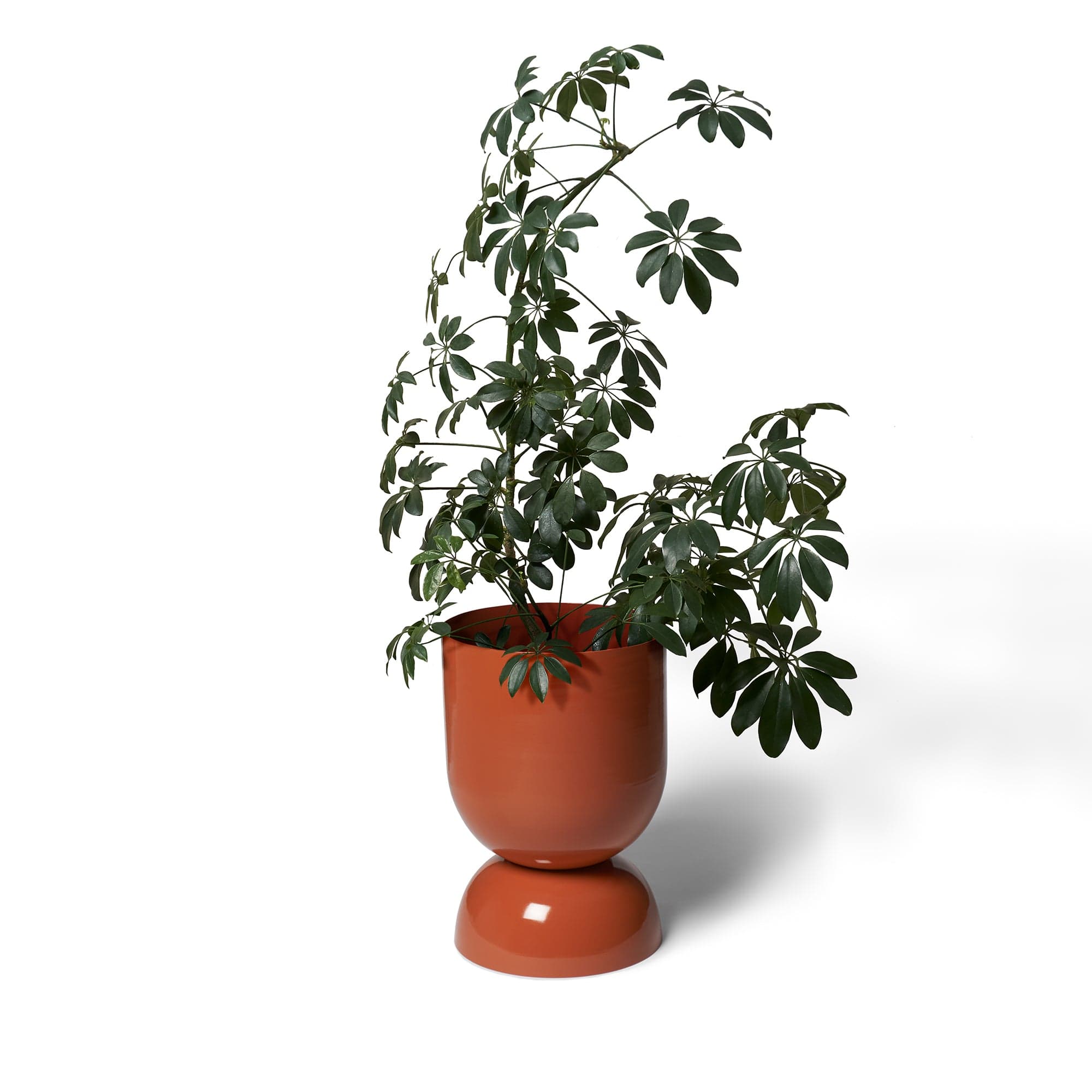 Planter - Goblet Ex-Large - Sienna