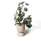 Planter - Goblet Ex-Large - Sand