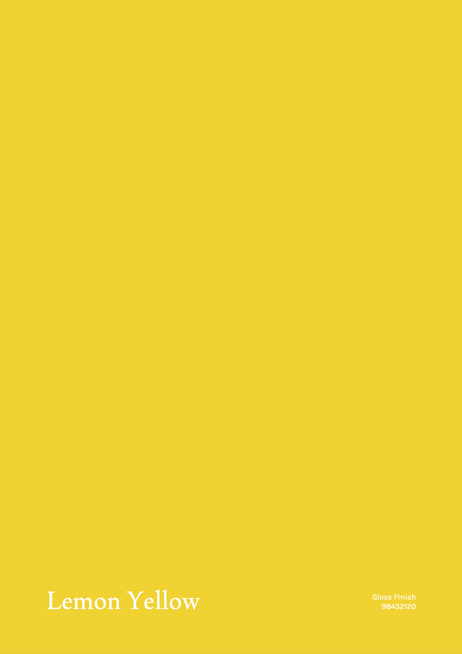 TBC2 - Chair