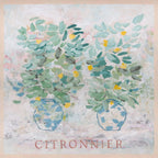 Citronnier - Limited Edition Print