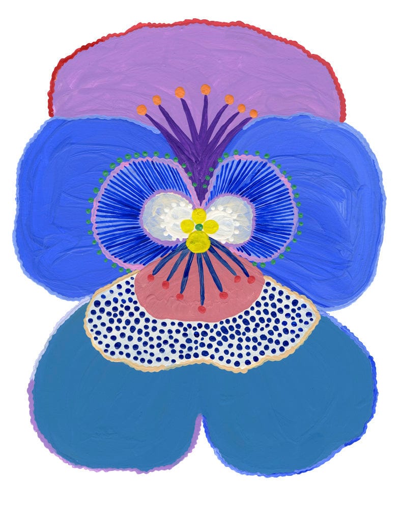 Pansy (Cools) - Print