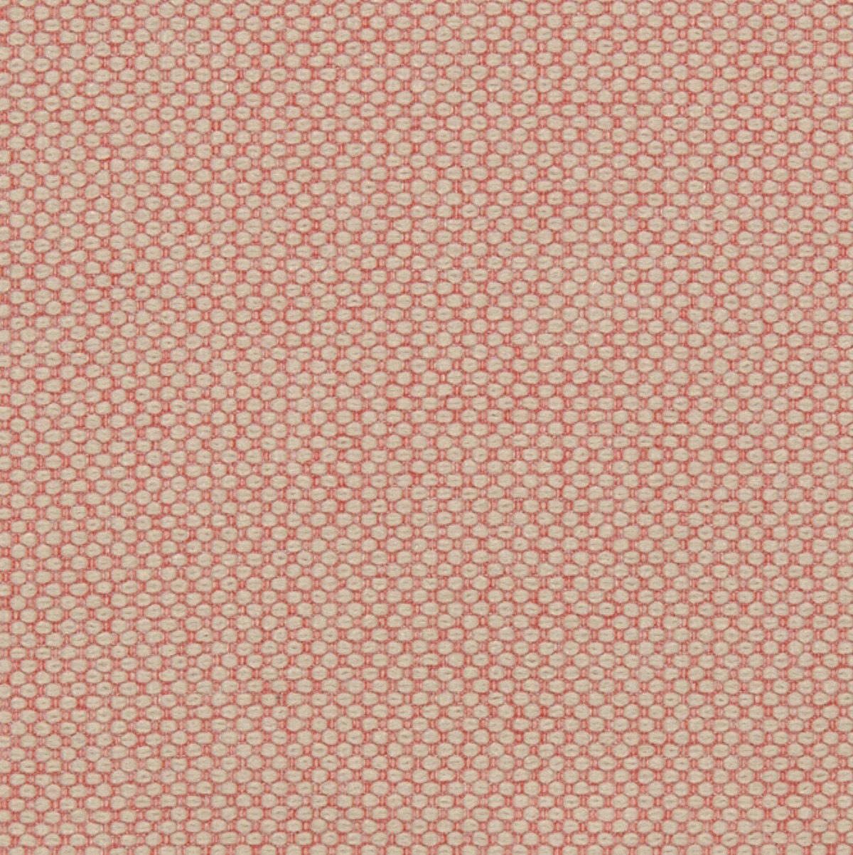 Jager Designer Chair - Salmon & Raspberry