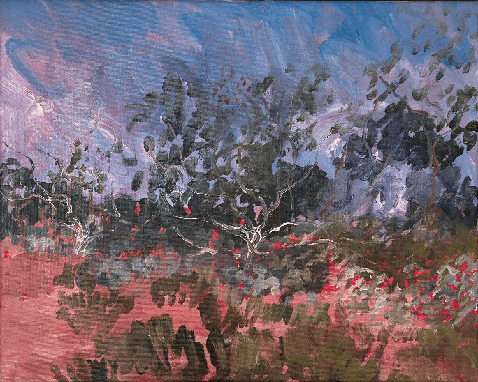 Mallee Scrub 13 - Original Art