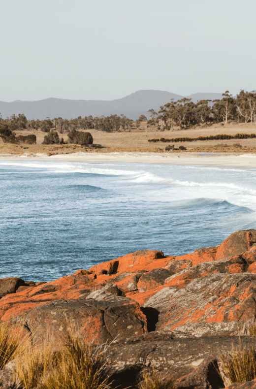 Terrain Throw Bay of Fires