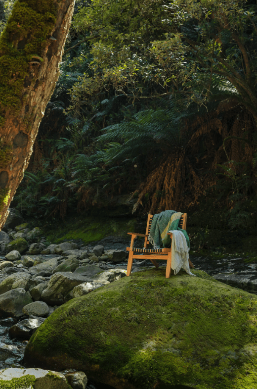 Terrain Throw Tarkine Forest