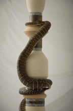 1.5 Snakes - Totem