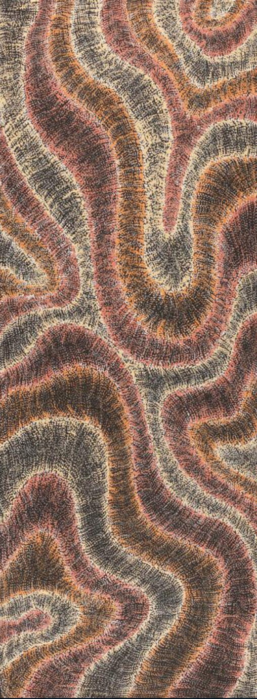 Wanakiji Jukurrpa (Bush Tomato Dreaming) - Warntungurru - Original Art