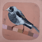 Wild And Free, Noisy Miner - Original Art-Original Art-Tania Lucas-Greenhouse Interiors Pty Ltd