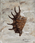 Chocolate Spider Conch - Original Art-Original Art-Aleisha Hobson-Greenhouse Interiors Pty Ltd