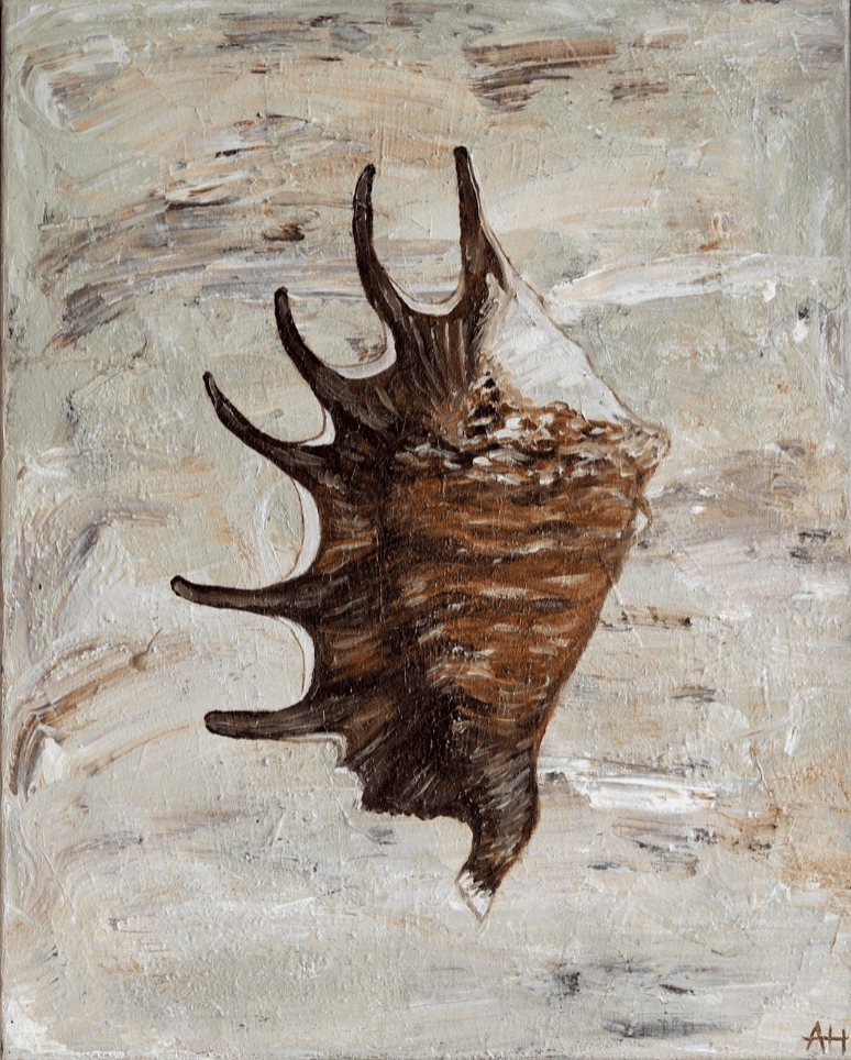 Chocolate Spider Conch - Original Art-Original Art-Aleisha Hobson-Greenhouse Interiors Pty Ltd