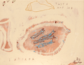 Lampara Taste and See  - Original Art