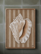 Caramel Stripe Conch - Original Art