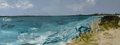 Beachside Glory - Original Art