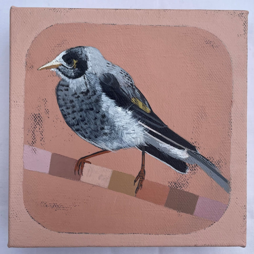 Wild And Free, Noisy Miner - Original Art-Original Art-Tania Lucas-Greenhouse Interiors Pty Ltd