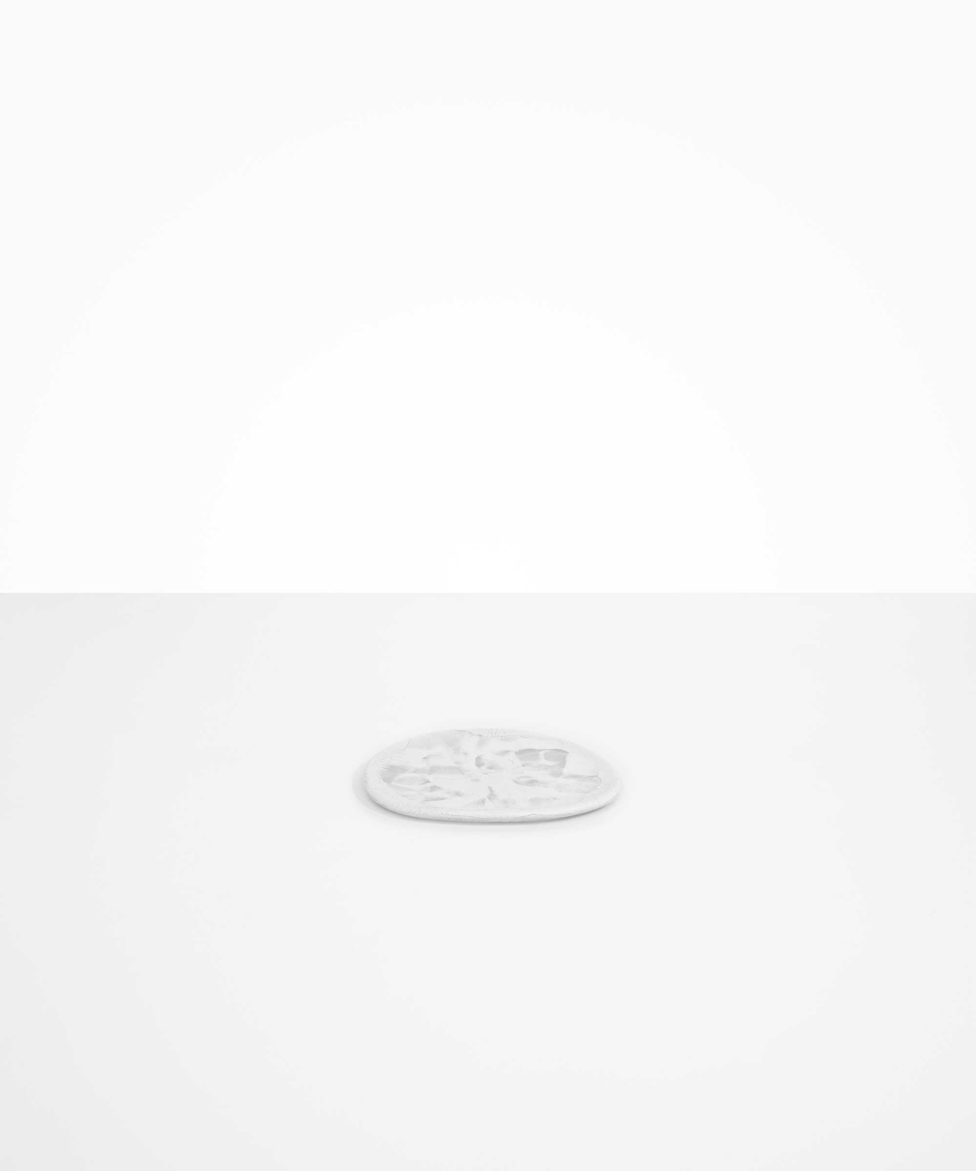 Resin Temple Side Plate - Snow Swirl