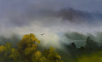 Flying Through The Light - Original Art