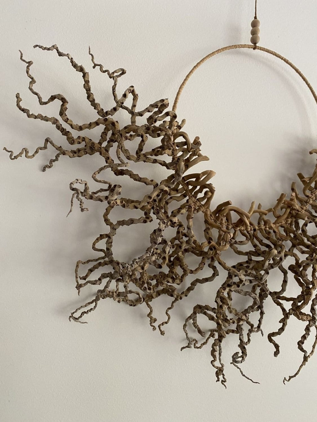 Palm Inflorescence Wall Hanging