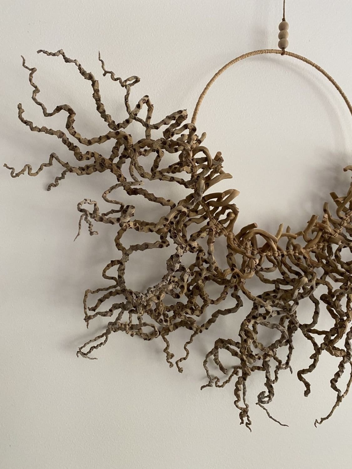 Palm Inflorescence Wall Hanging