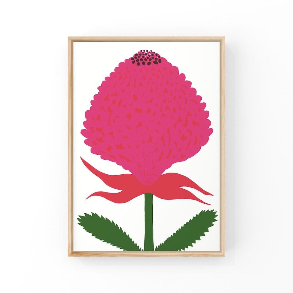Waratah - Open Edition Print