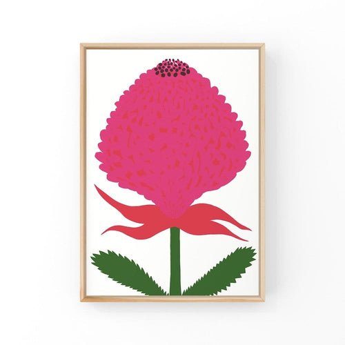 Waratah - Open Edition Print