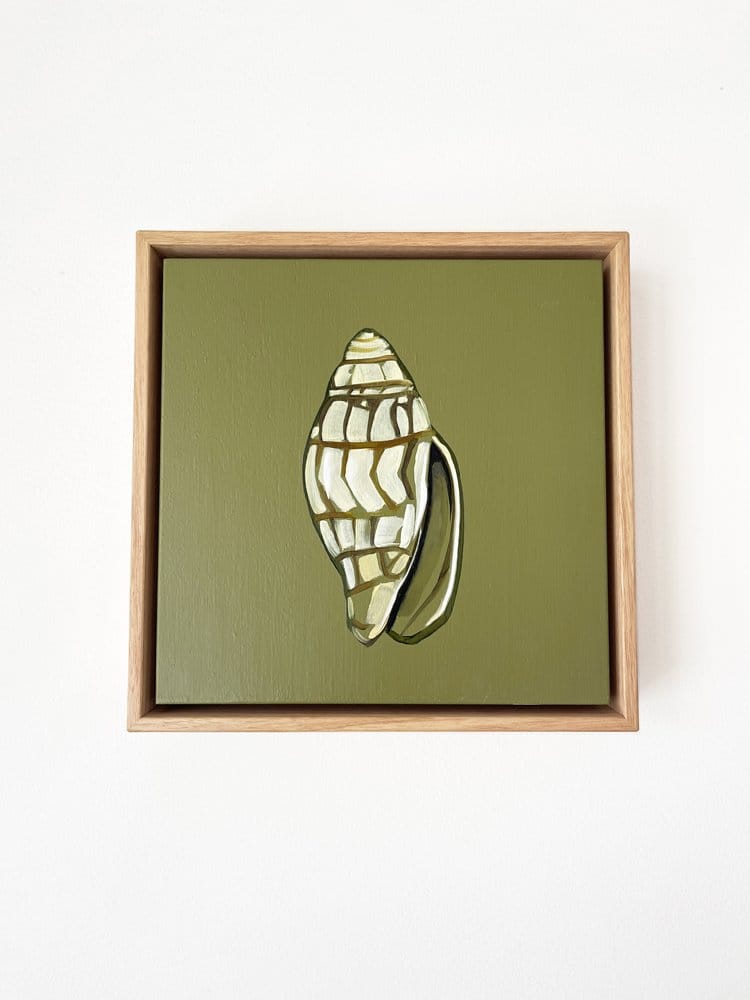 Shell Study Three - Original Oil Painting-Original Art-Kate Jarman-Greenhouse Interiors Pty Ltd