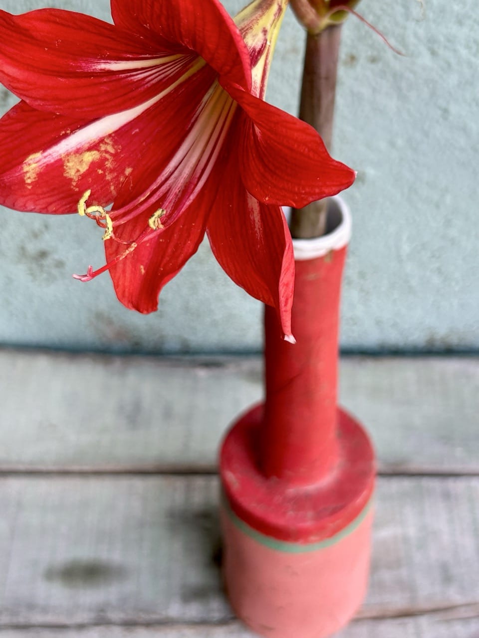Flotsam Bottle Rose Red-Ceramics-Sarah Murray-Greenhouse Interiors