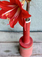 Flotsam Bottle Rose Red-Ceramics-Sarah Murray-Greenhouse Interiors