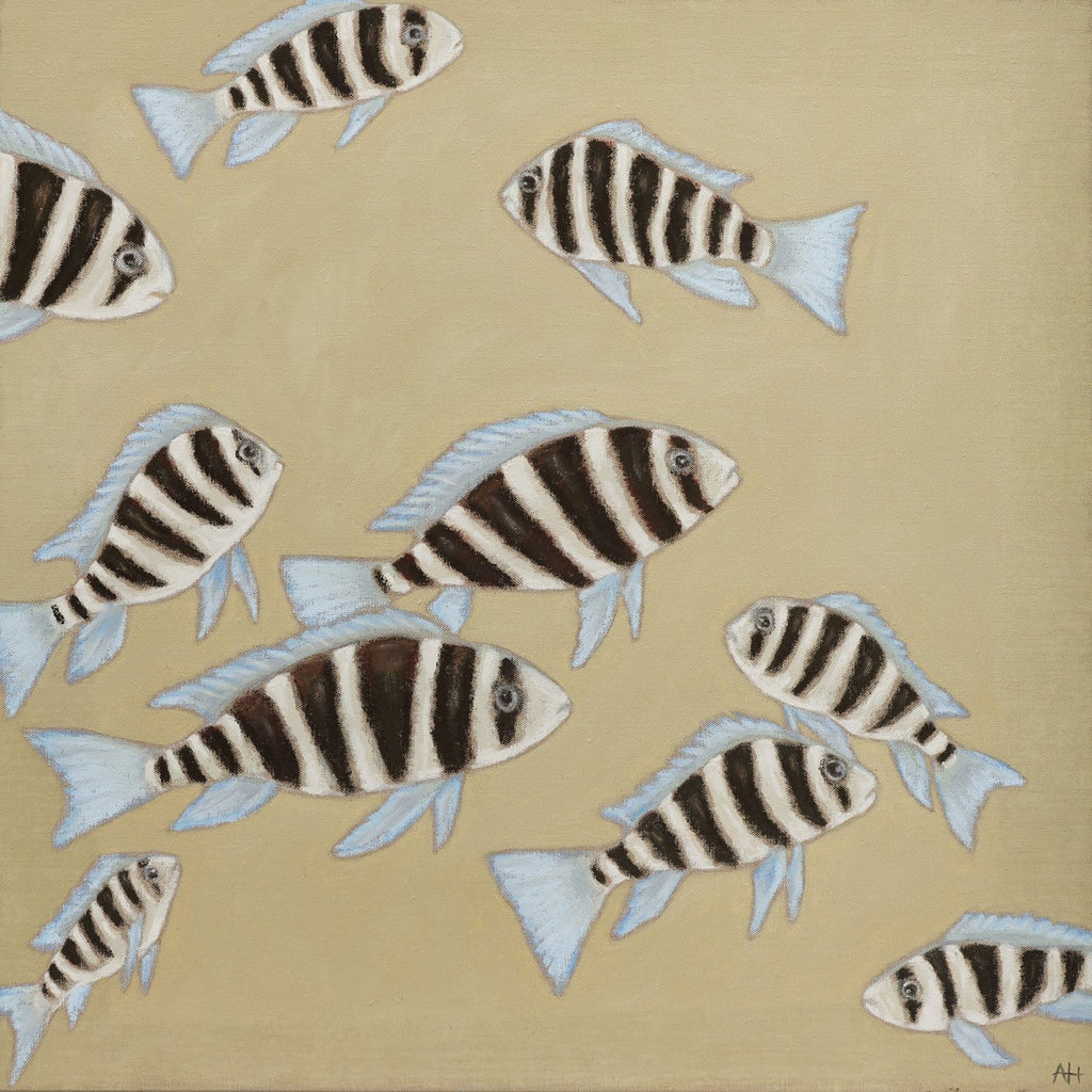 African Cichlids - Original Artwork