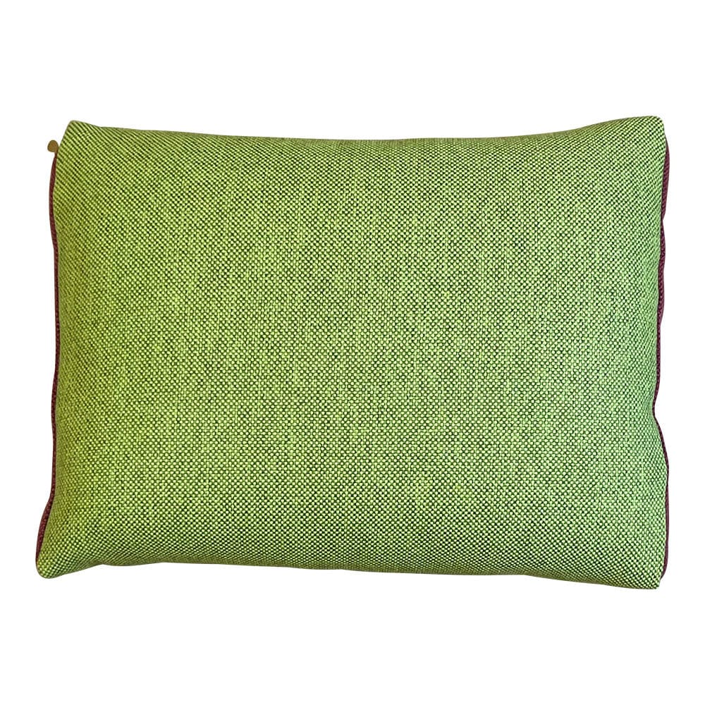 Hand Made Cushion - Green Dragonfly