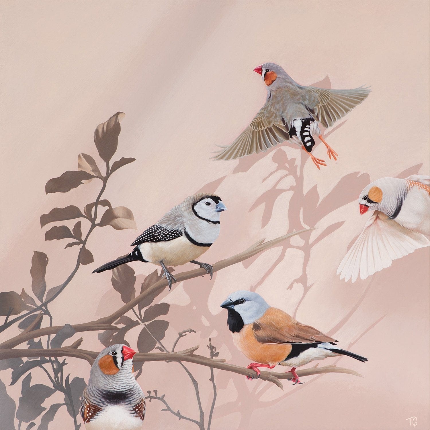 You're The Fanciest Finch I Know - Original Art