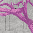 The Peacock - Limited Edition Print-Prints-Steve Moors-Greenhouse Interiors Pty Ltd