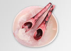 Medium Resin Earth Bowl - Shell Pink