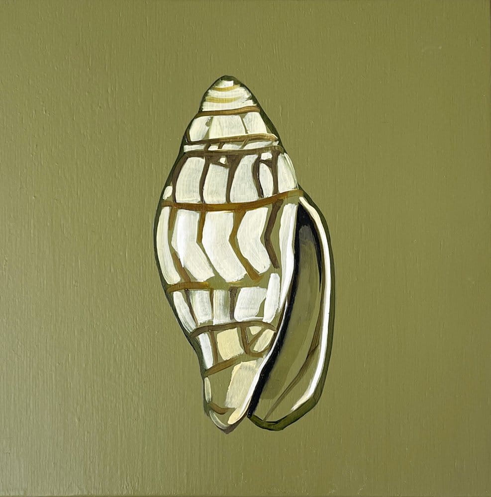 Shell Study Three - Original Oil Painting-Original Art-Kate Jarman-Greenhouse Interiors Pty Ltd