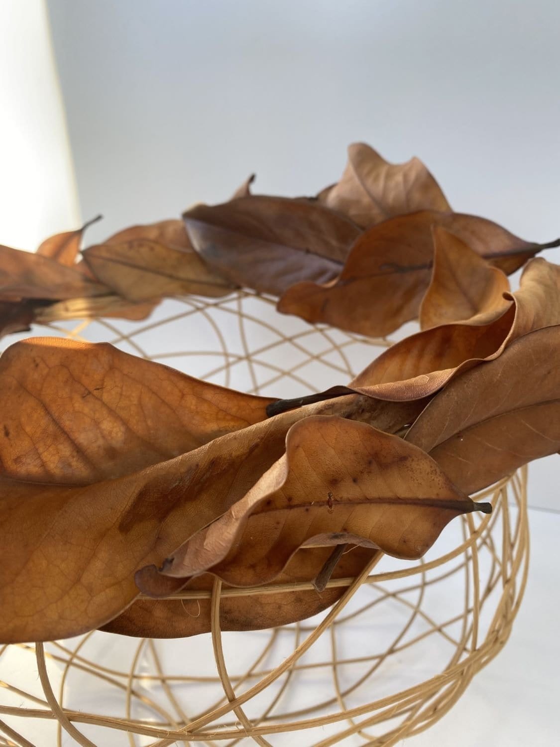 Woven Bowl With Magnolia Leaves