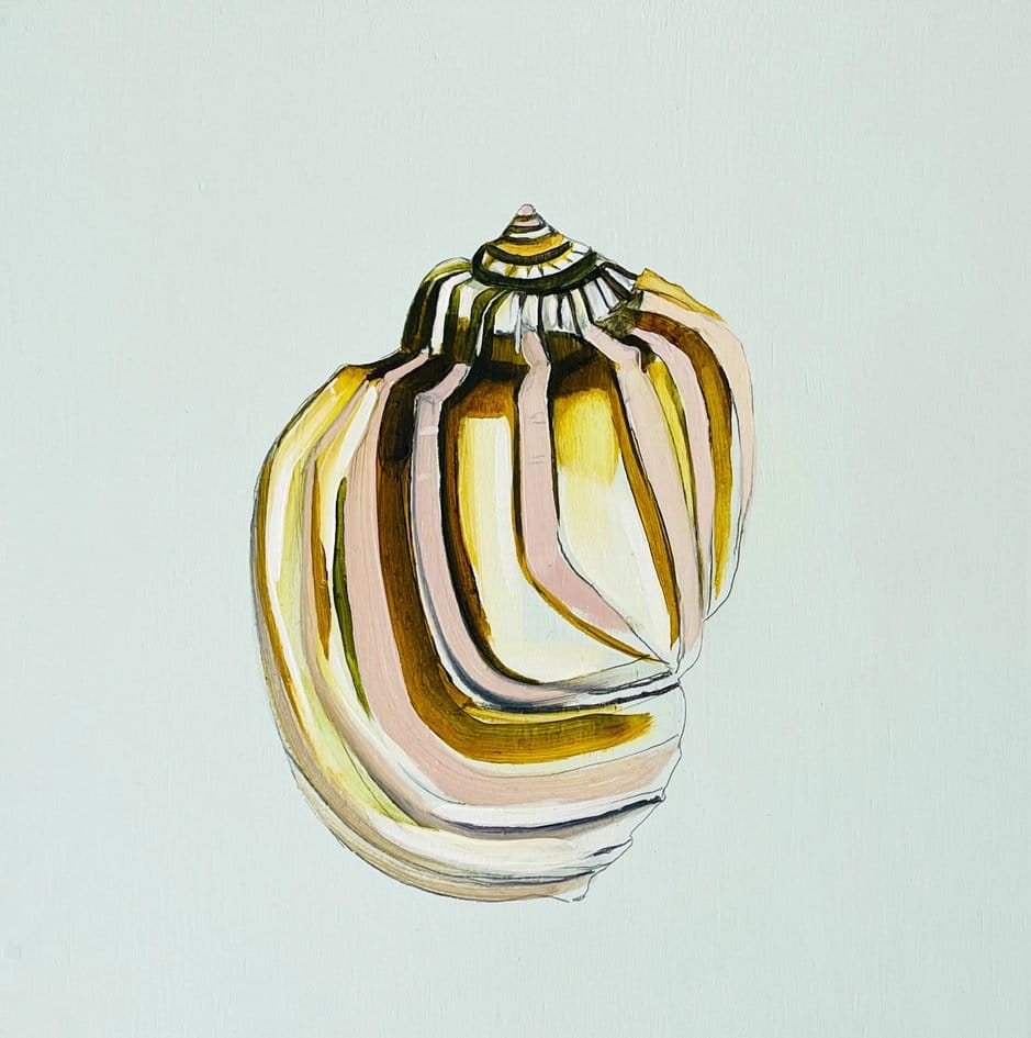 Shell Study Four - Original Oil Painting-Original Art-Kate Jarman-Greenhouse Interiors Pty Ltd
