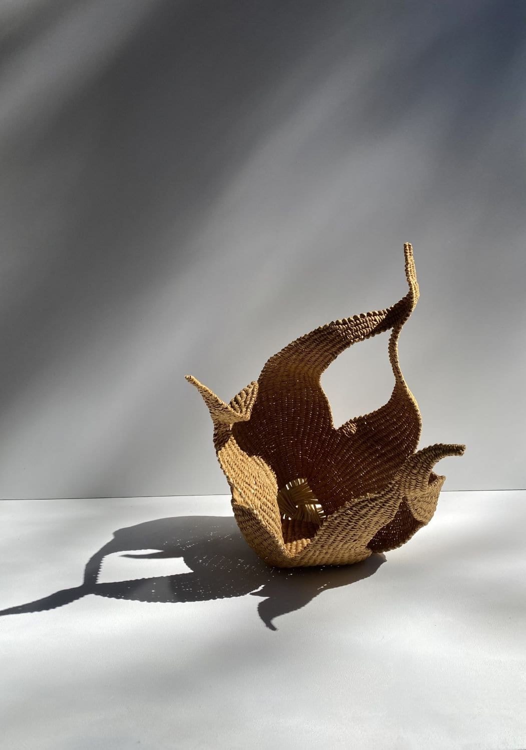 Seed Pod Sculpture