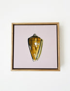 Shell Study Two - Original Oil Painting-Original Art-Kate Jarman-Greenhouse Interiors Pty Ltd
