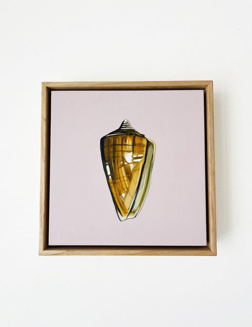 Shell Study Two - Original Oil Painting-Original Art-Kate Jarman-Greenhouse Interiors Pty Ltd